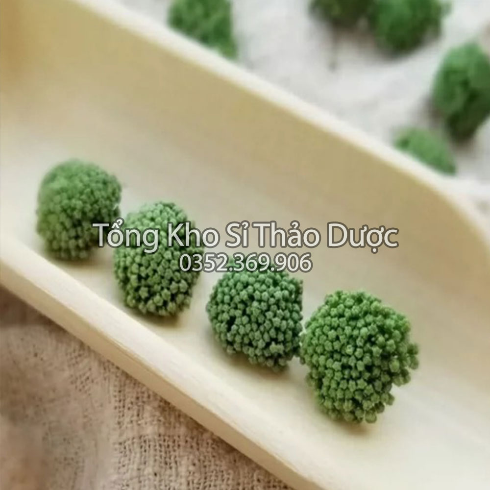 Nụ hoa tam thất không cuống 100g (Nụ xanh, đẹp)