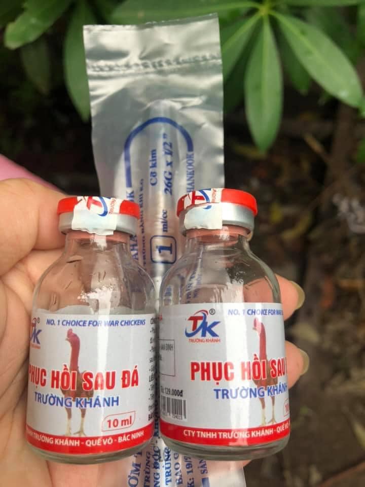Phục Hồi gà sau Đá Trường Khánh