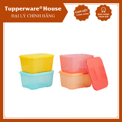 Bộ hộp trữ đông Tupperware Freezermate Rainbow 650ml (set 4)