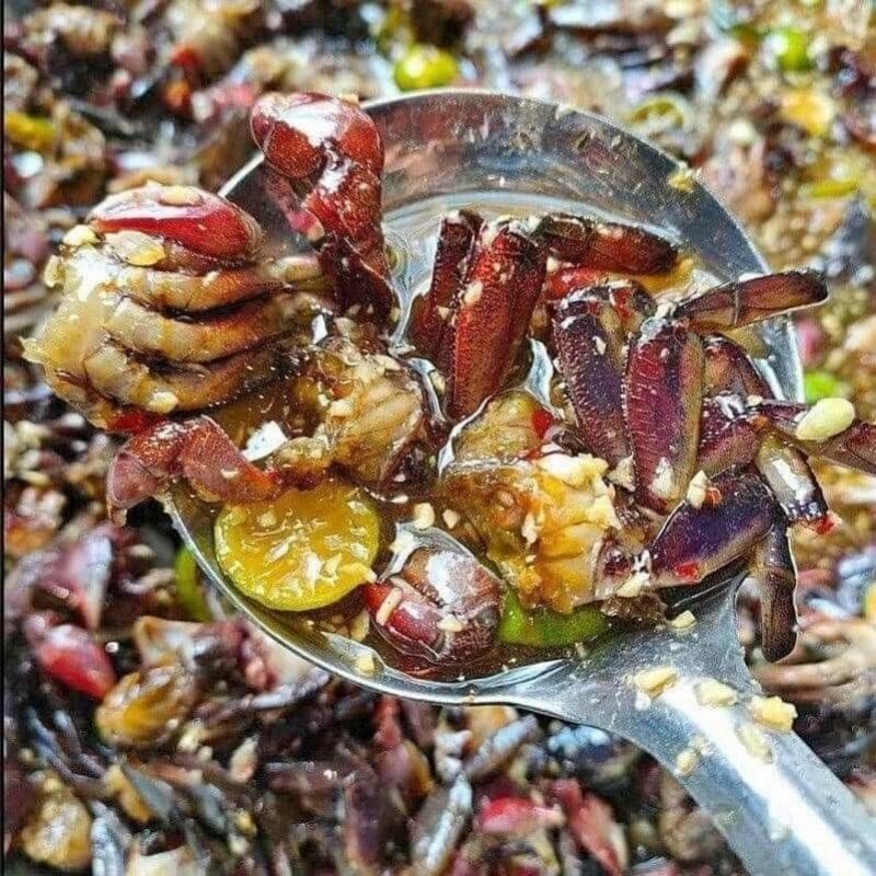 BA KHÍA CÀ MAU TRỘN SẲN ( hộp 700g)