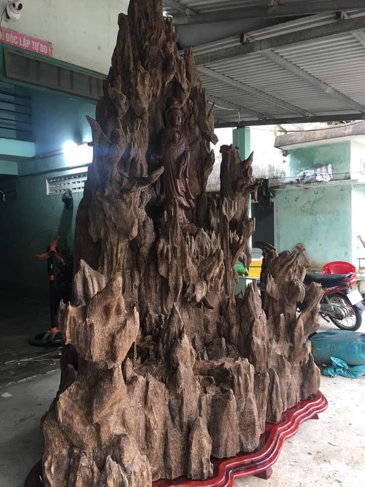 cây trầm cảnh