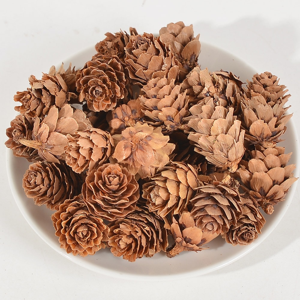 【Worth-Buy】 10/50pcs Natural Mini Pine Nuts Artificial Fruit Vegetable For Diy Home Wedding Decoration Tree Decoration