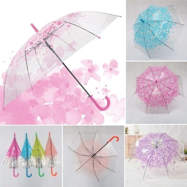 Cây Dù Trong Suốt Hoa Anh đào và Mẫu trắng trong/ UV (loại Rẻ)