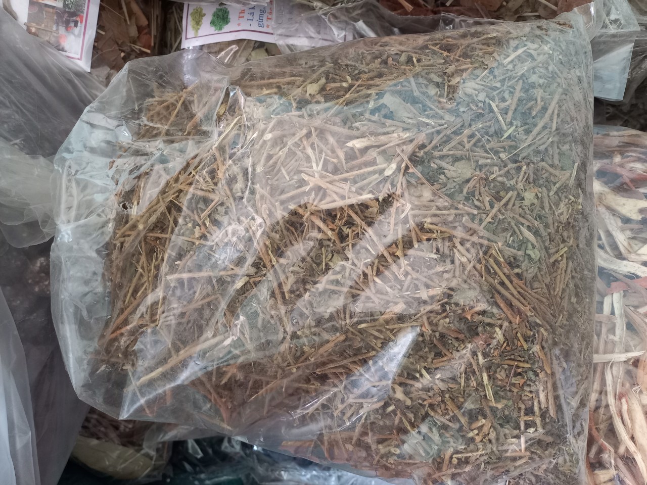 cây cà gai leo khô 1kg