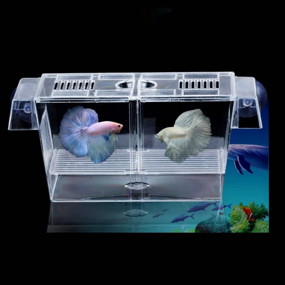 Clownfish%20Transparent%20Incubator%20with%20Suction%20Cups%20Isolation%20Fish%20Baby%20Hatchery%20Fish%20Isolation%20Box%20Aquarium%20Breeder%20Box%20Fish%20Breeding%20Box%20-%20Image%202