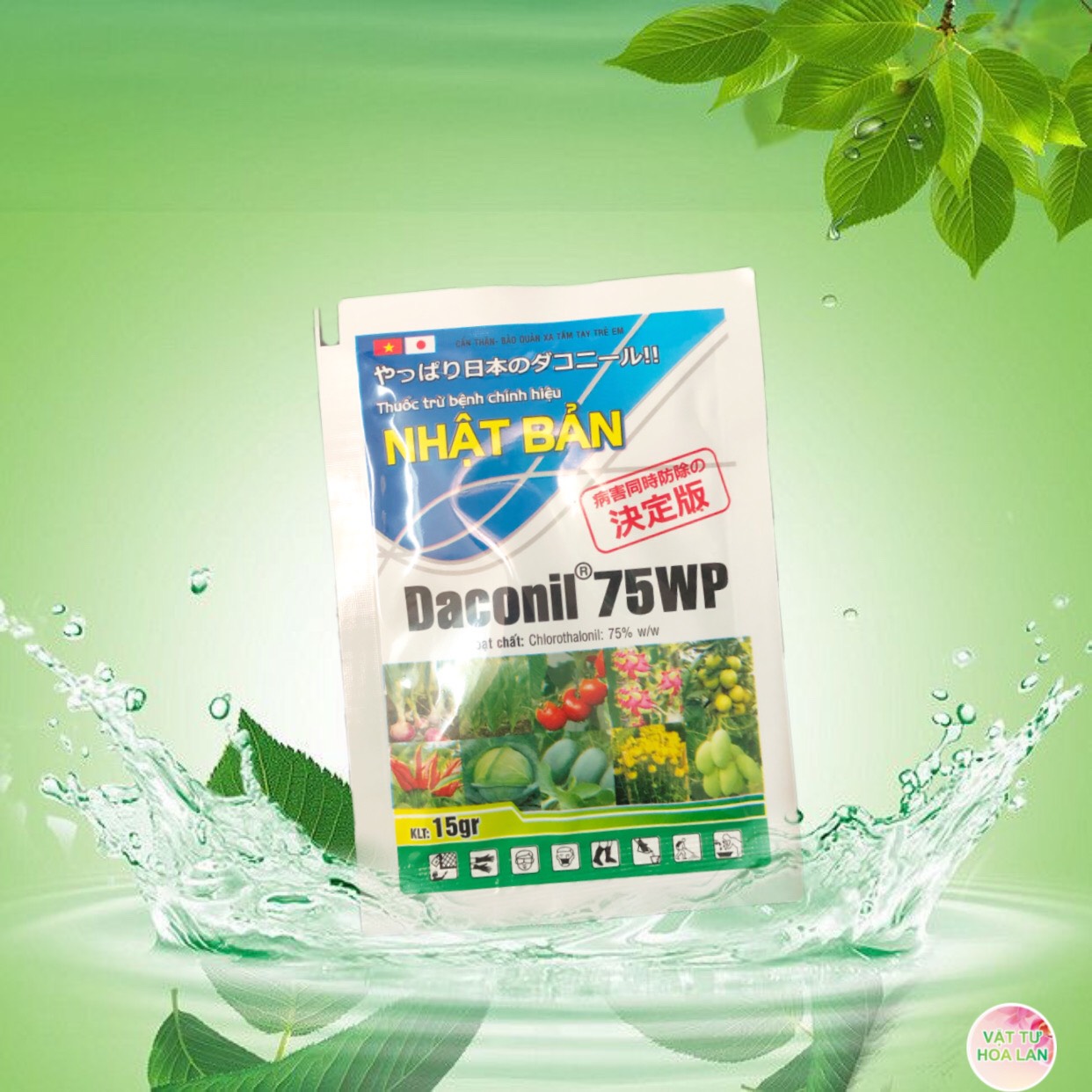 Daconil 75wp – thuốc trừ nấm bệnh nhật bản gói 15g đốm lá – thán thư - sương mai - đạo ôn