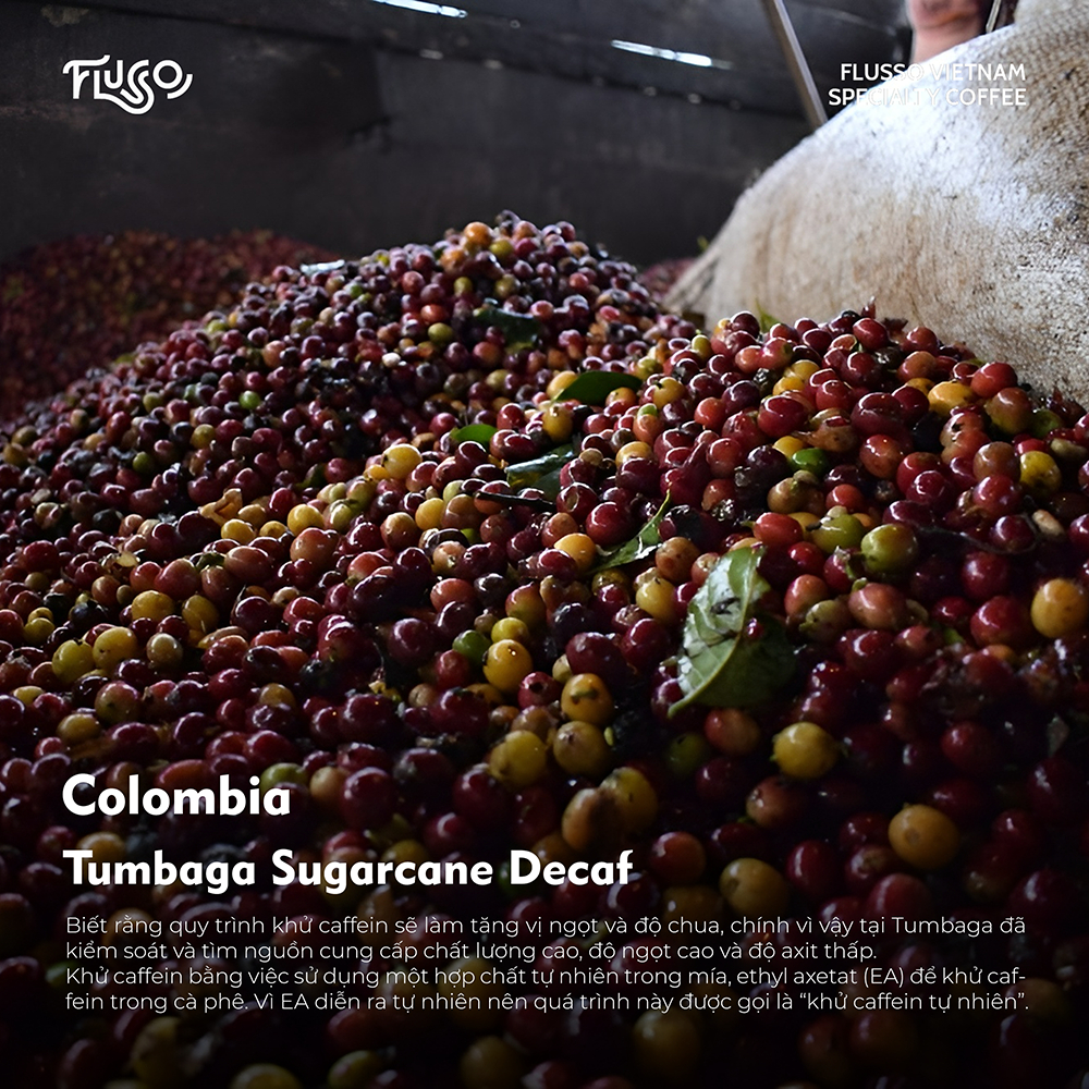 [Khử caffein] Cà Phê Specialty Arabica Colombia Tumbaga Sugarcane Decaf