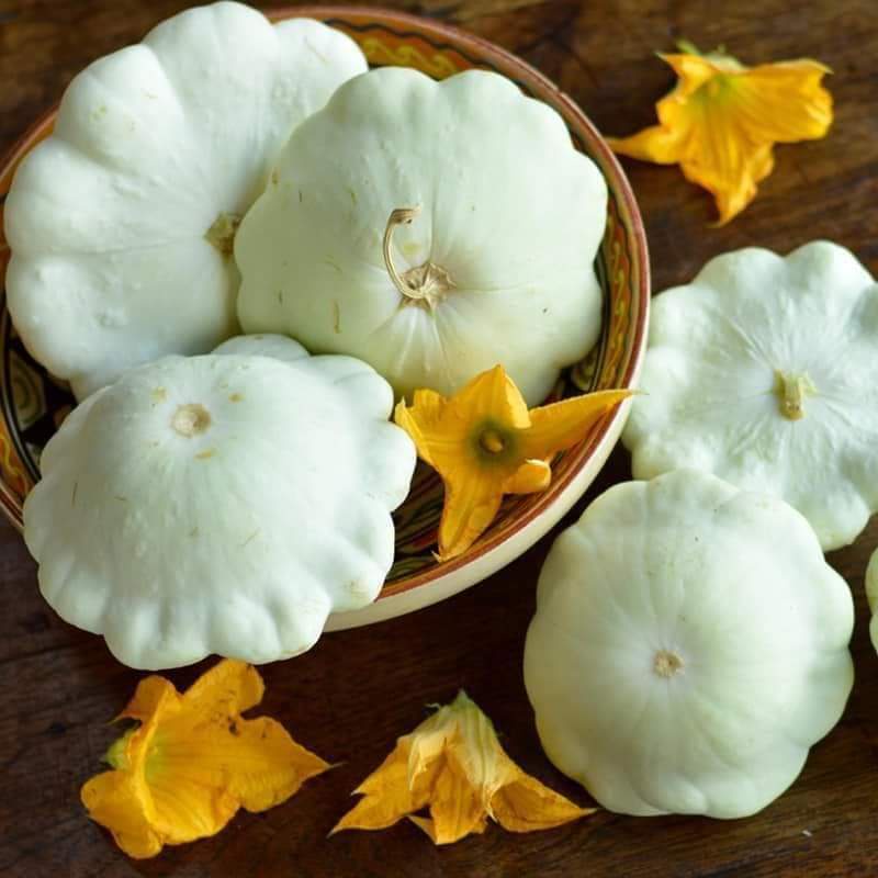 Hạt giống bí dĩa bay trắng - H2T FARM