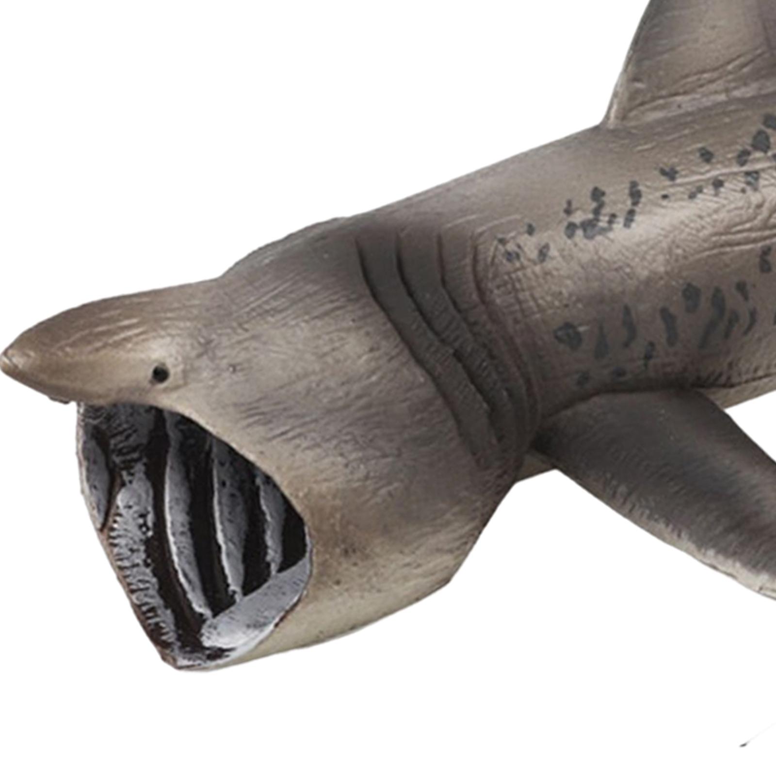 Gispark Realistic Basking Sharks Model Cognitive Early Learning Marine Creatures Figures Collection for Decorations Home Learning Party
