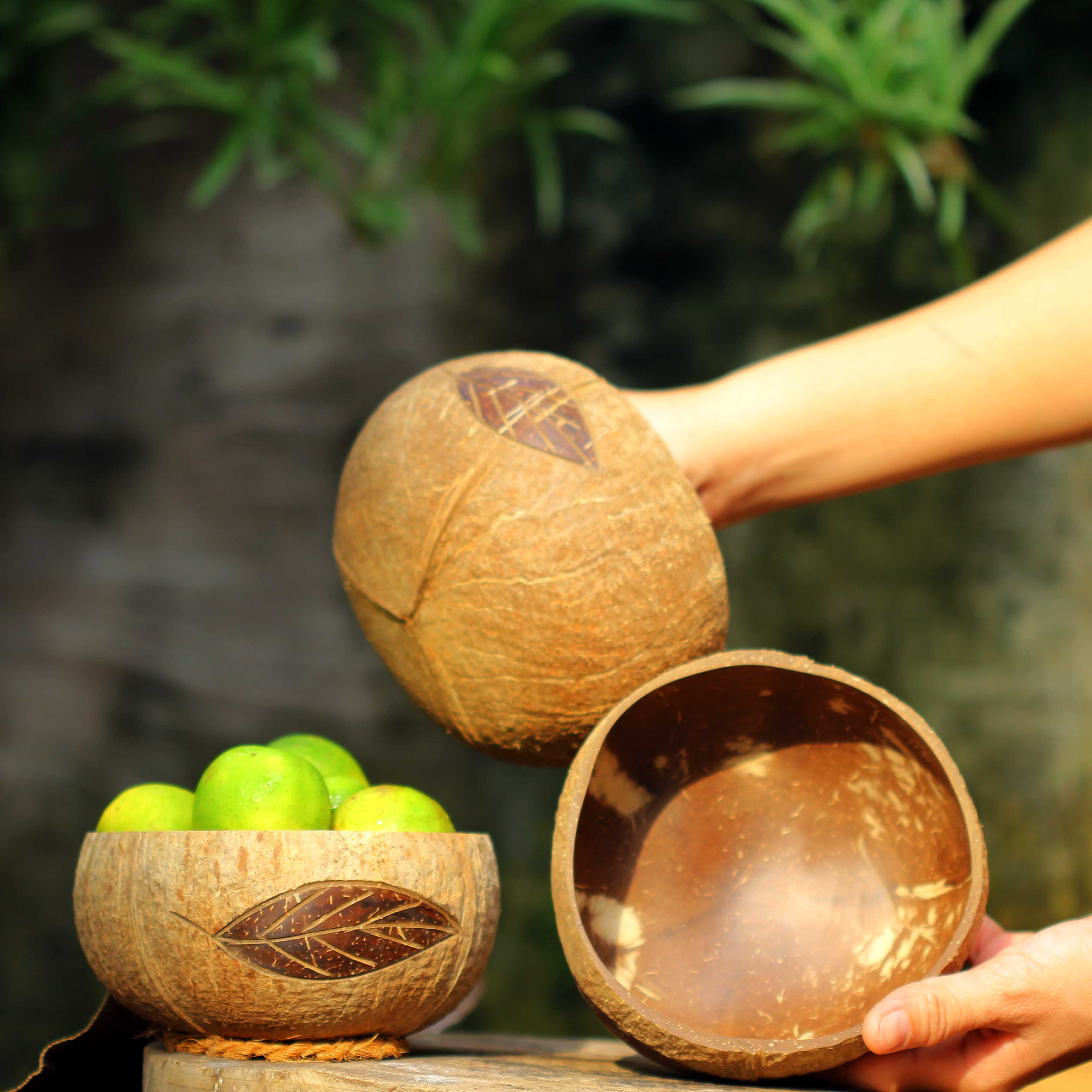 Cetus Pattern Coconut Shell Bowl