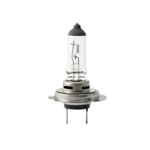[HCM]BẢO HÀNH 1 ĐỔI 1 - Bóng đèn H7 12V 55W