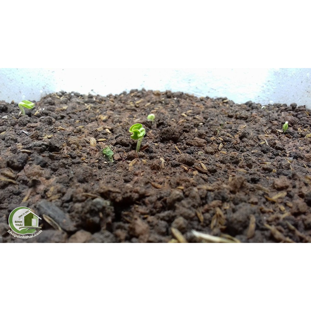 Đất Sạch Dinh Dưỡng Hữu Cơ H6 Trồng Cây - 5Dm3 ( 2,6kg )