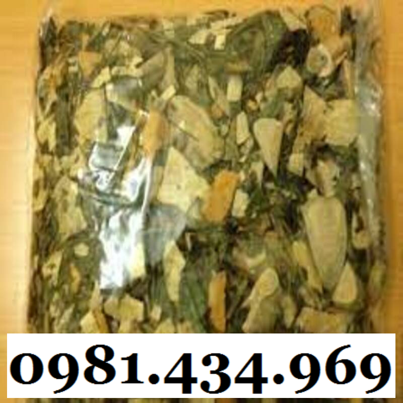 Cây Bầu Đất Khô 01KG Hàng Rừng Thơm