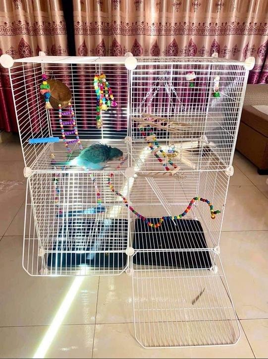 COMBO Chuồng Chim, Thỏ, Hamster - <<Chuồng Lưới Đa Năng Tự Lắp Ghép>>