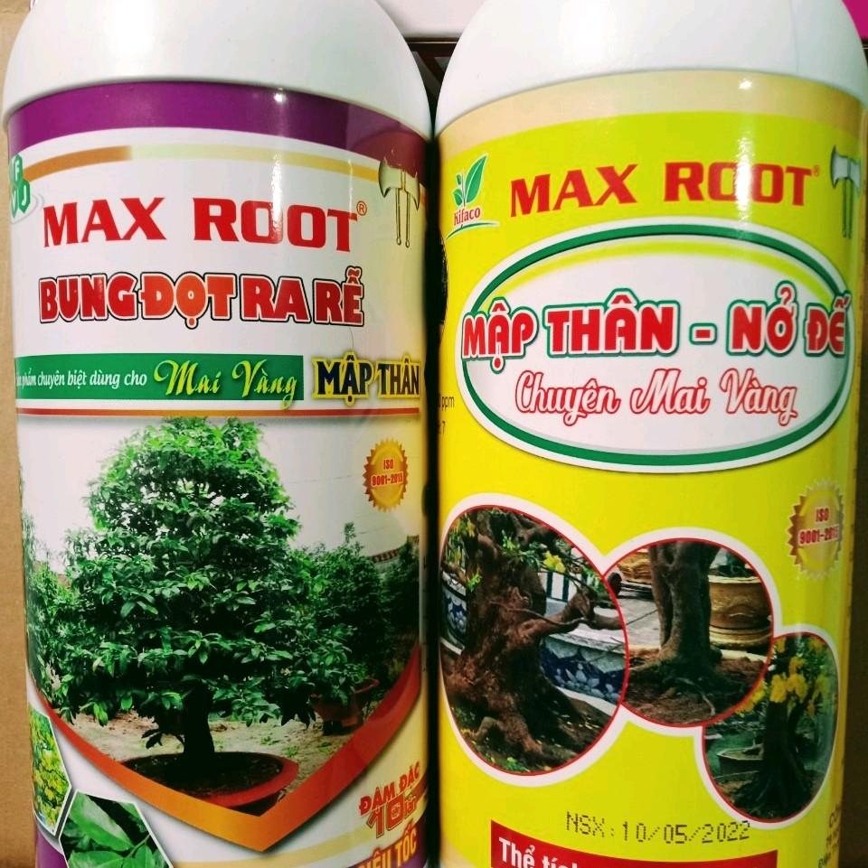 MẬP THÂN NỞ ĐẾ