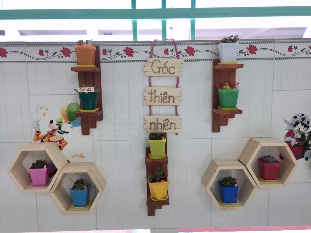 kệ tổ ong gỗ tự nhiên