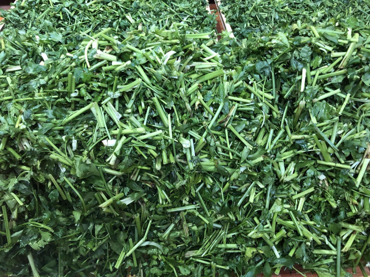 Bột cần tây sấy lạnh