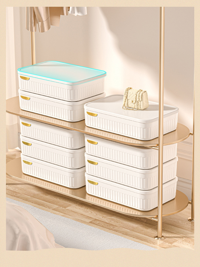 Storage box Compartment style storage box Dustproof box Underwear finishing box Large capacity storage box Sundries storage basket with cover Drawer storage box multifunctional drawer glove box