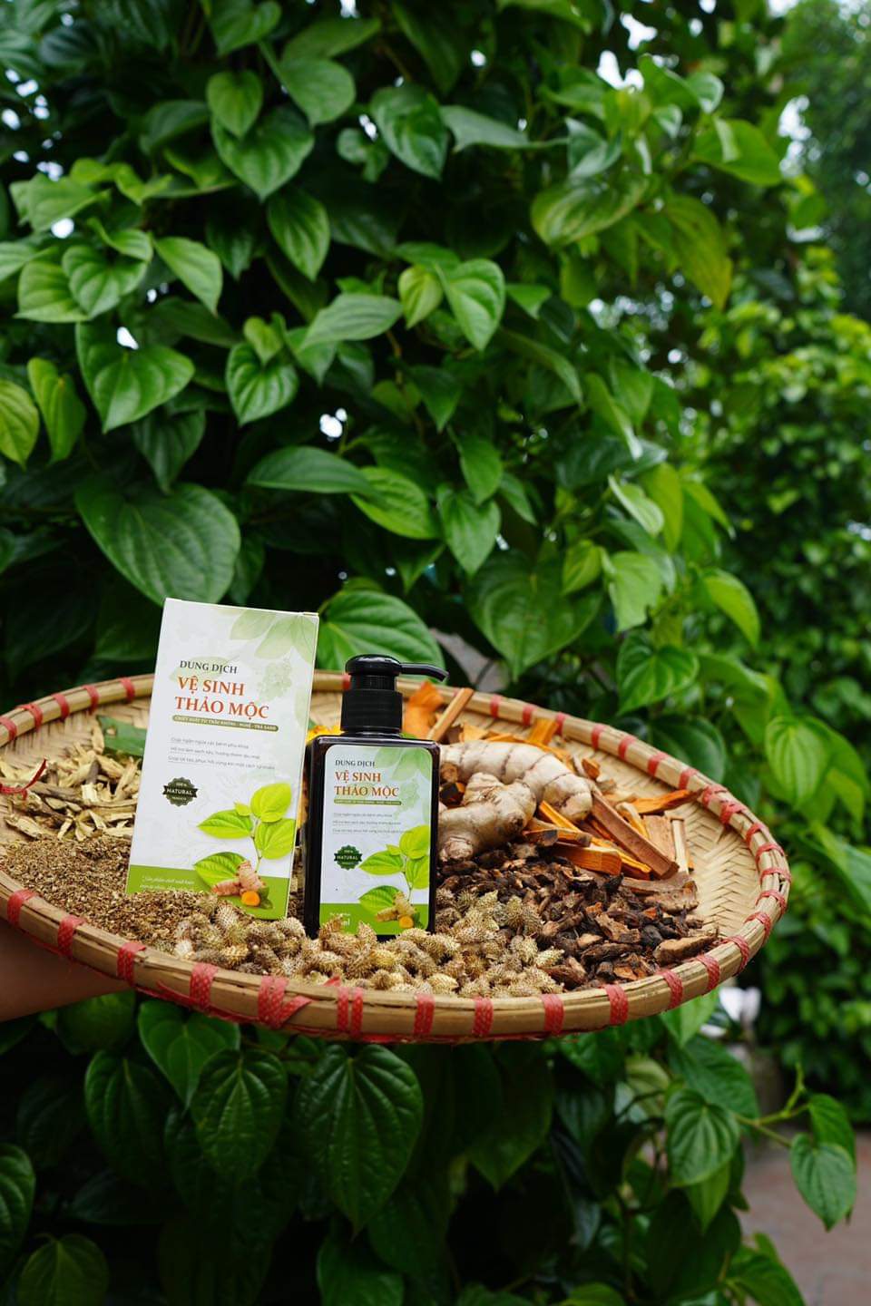 Dung dịch vệ sinh thảo mộc