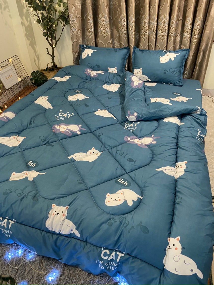 Bộ chăn ga cotton hàn quốc 5 món