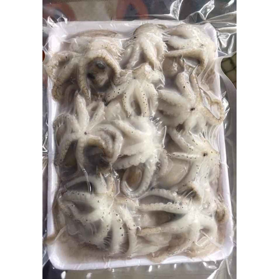 Bạch Tuộc Sữa Giòn [Giao HỎA TỐC 2H Hà Nội]
