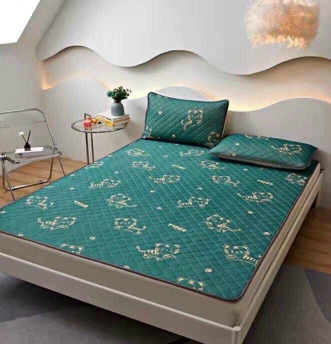 CHIẾU ĐIỀU HÒA CAO SU NON 3D siêu mát tặng kèm 2 vỏ gối