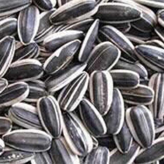 hạt hướng dương loại ngon 500g