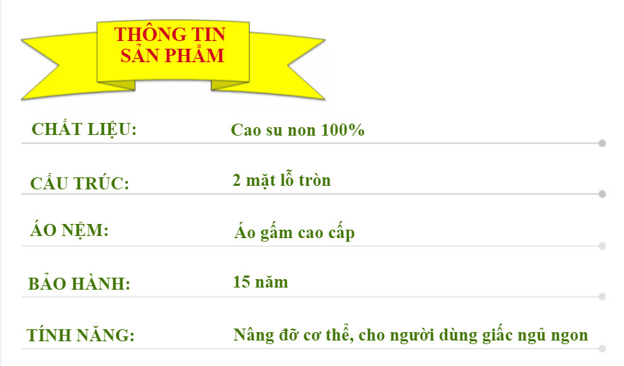 NỆM ĐỦ SIZE 1M X 2M X 5cm CAO SU NON THẮNG LỢI