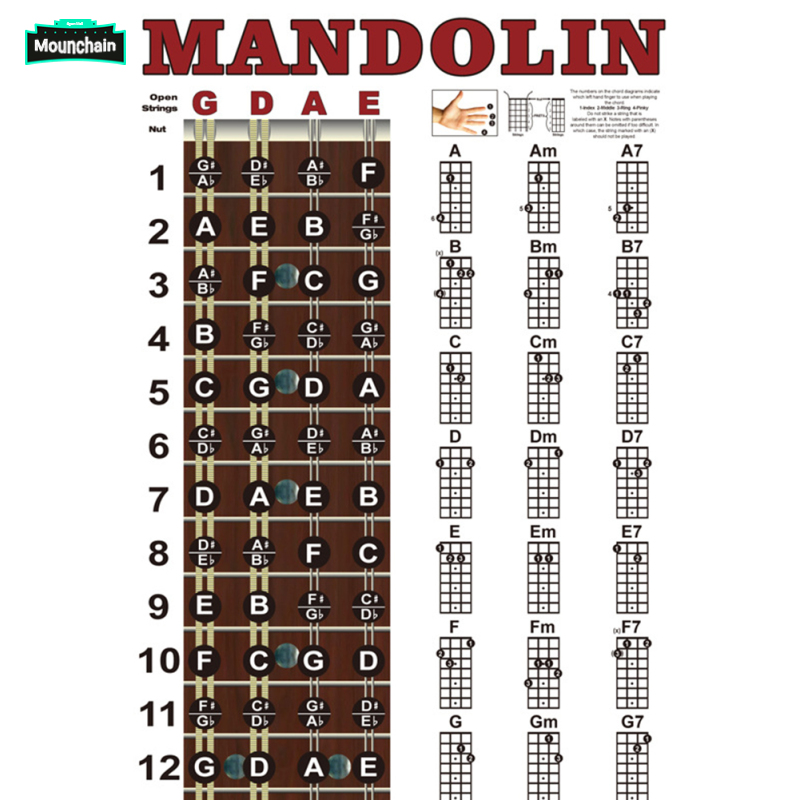 Mandolin Fretboard Notes Chart Finger Placement Chords Theory Poster