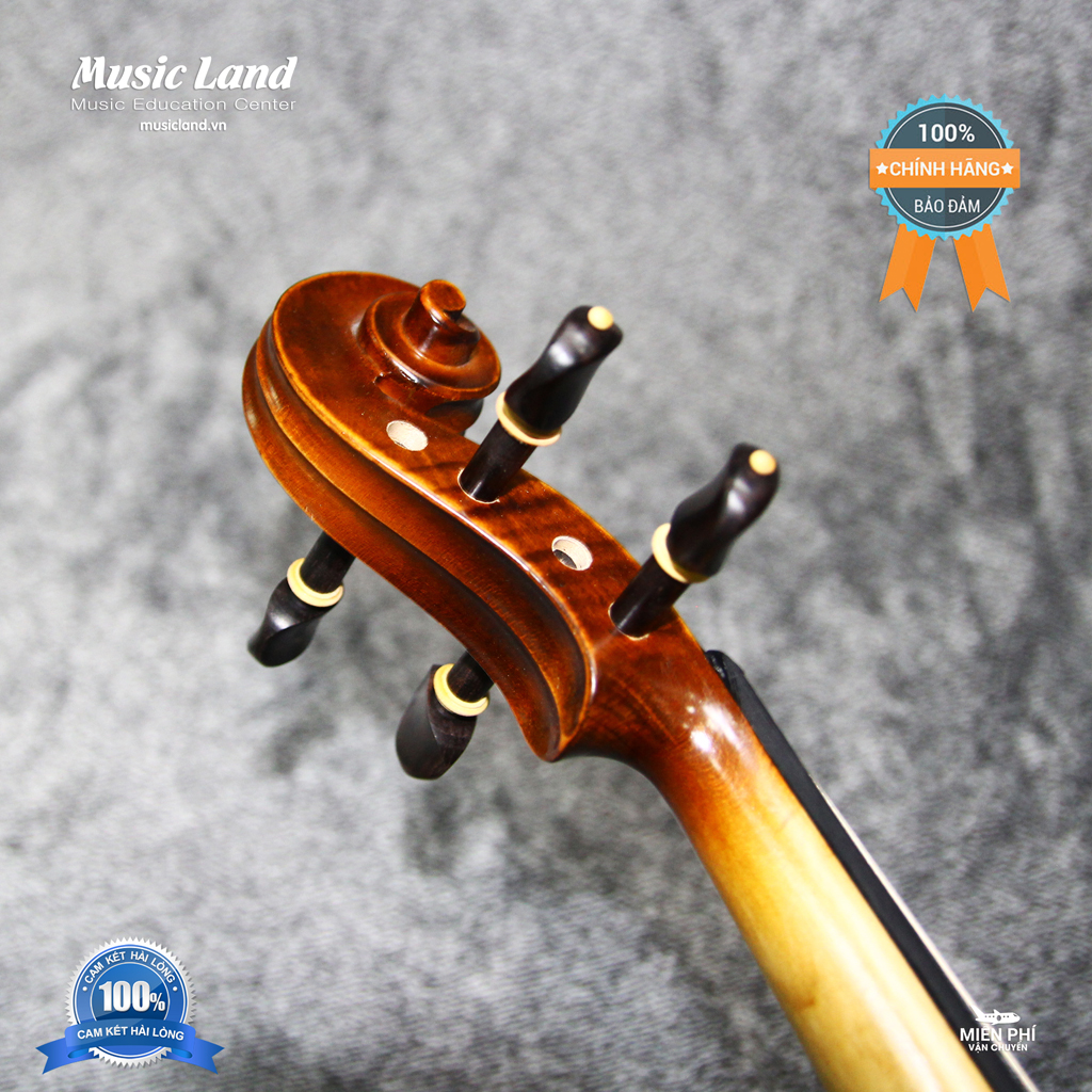 Đàn Violin Amati VM118 – Chính Hãng