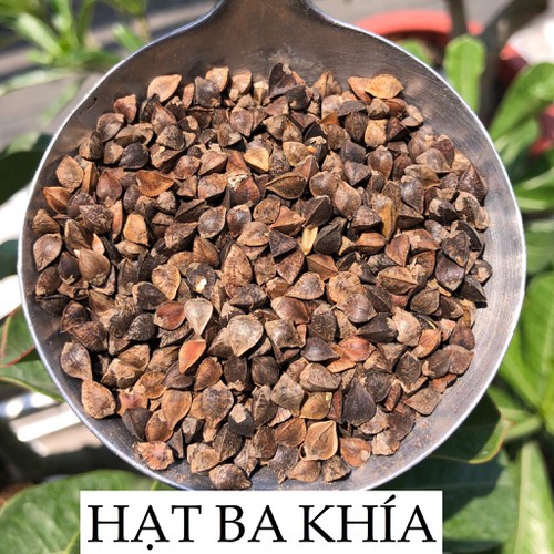 Hạt Ba Khía Đã Tách Vỏ  500G - Viettin Mart