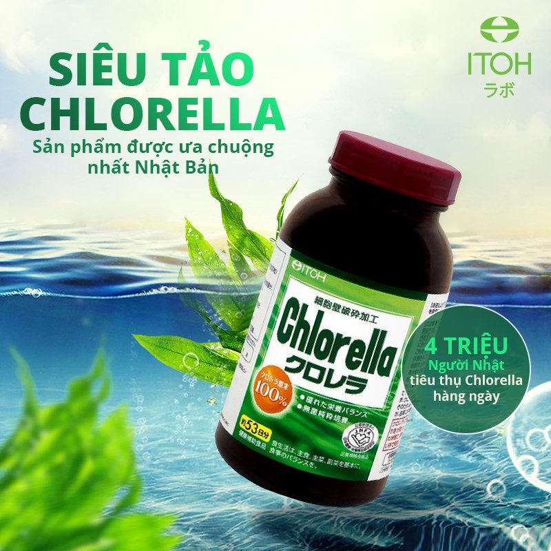 Viên Uống Tảo Lục Itoh Chlorella