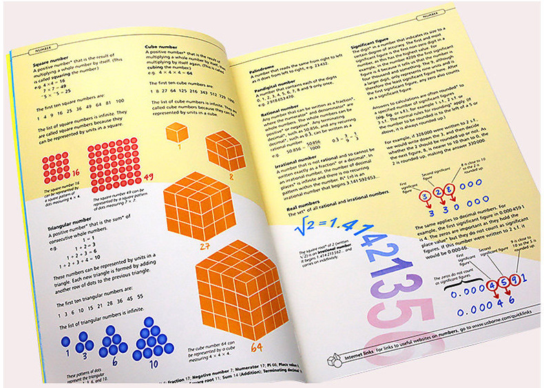 Illustrated Dictionary of Mathematics Usborne