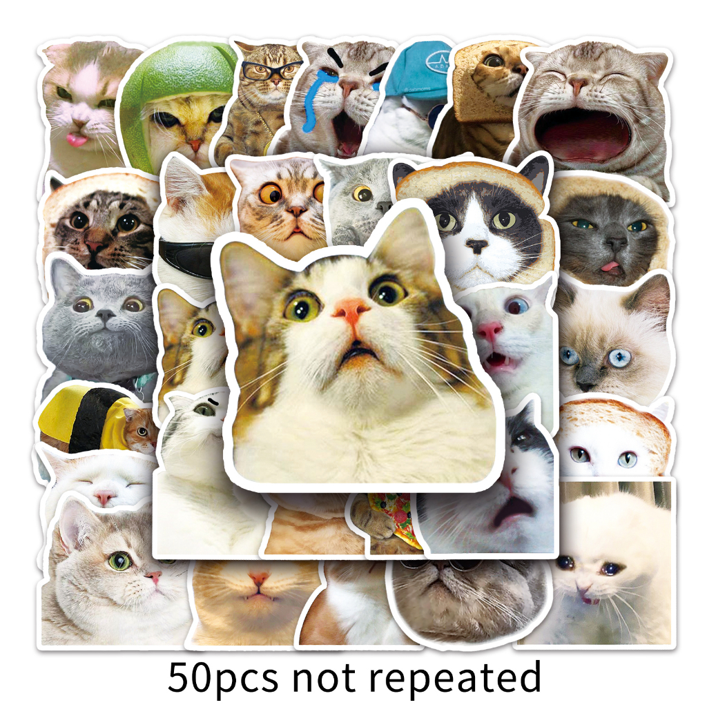 Set 10 / 50 sticker dán xe hơi hình mèo sáng tạo
