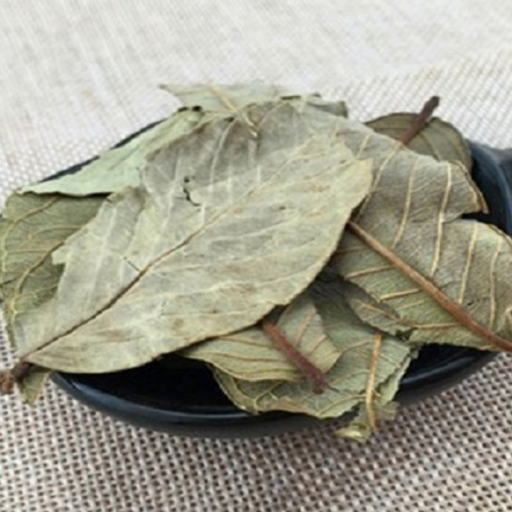 Lá Ổi 500g - Hàng Công Ty Chất Lượng