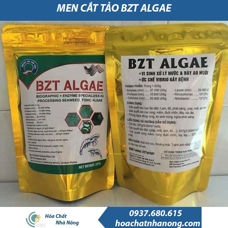 Combo Men vi sinh cắt tảo BZT ALGAE