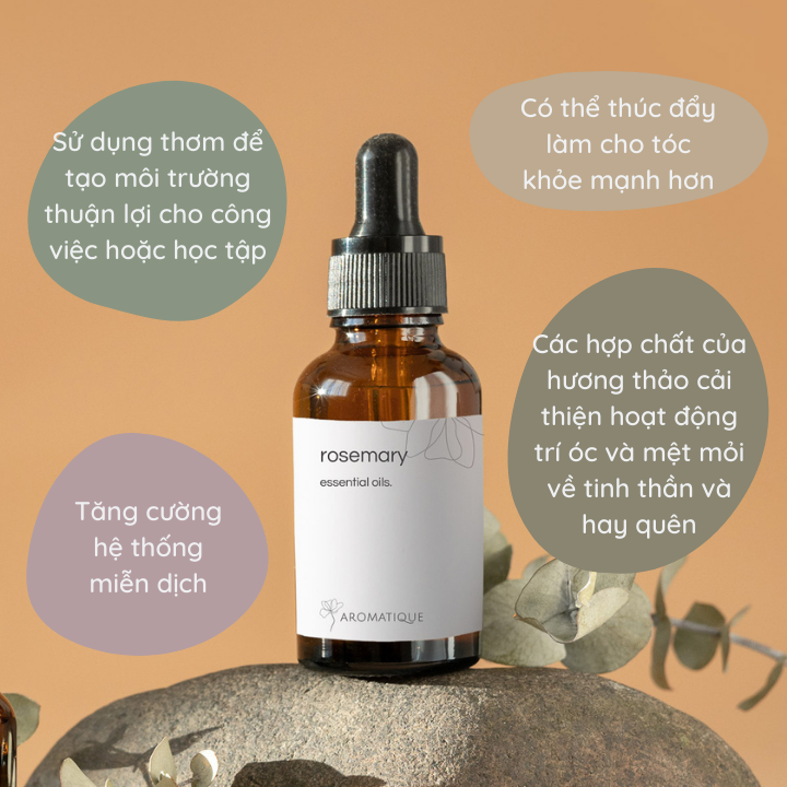 Tinh Dầu Xông Phòng Hương Thảo Rosemary Nguyên Chất Thiên Nhiên, Thơm Phòng, Massage thư giãn Chai 10ml