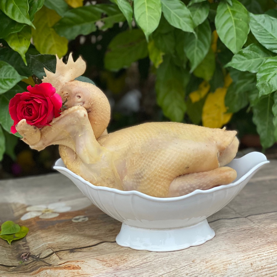 Bát thuyền tô chén đĩa đựng gà cúng nguyên con gốm sứ bát tràng