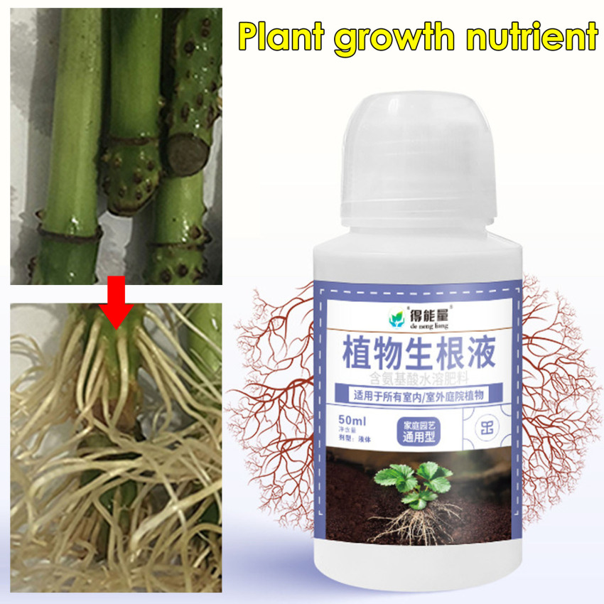 Fast Rooting Stimulator Plant Rapid Rooting Agent Root Stimulator For Plants Root Supplement For Houseplant Garden Supplies