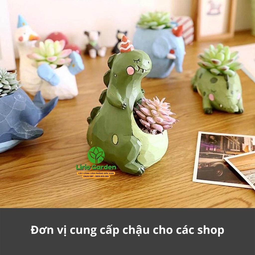 chậu trồng cây hình khủng long xanh [ tặng kèm đất trồng cây ]