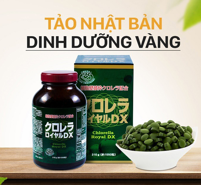 Tảo lục Chlorella Royal DX 1550v Nhật Bản