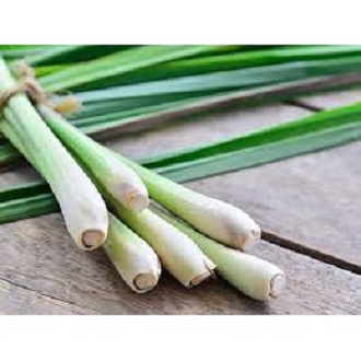 (HN) Sả Sạch Thơm Giao Siêu Tốc 1h
