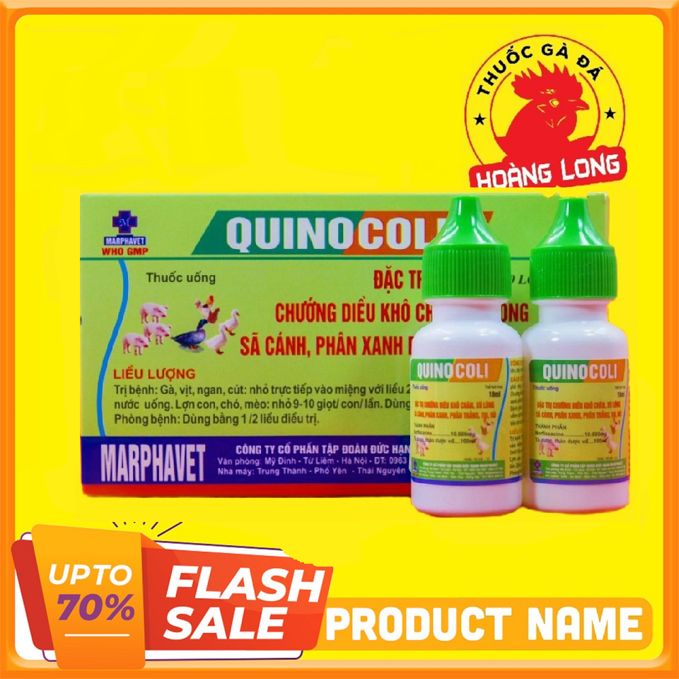 QUINOCOLI phân xanh, trắng cho gà đá 1 HỘP 10 LỌ