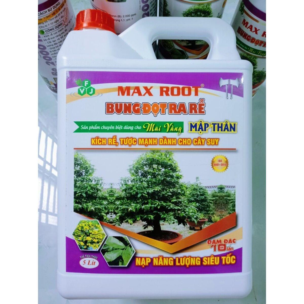 Max root - Bung đọt ra rễ mai vàng Can 5 Lít