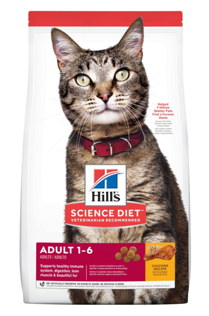 kitten food hills science