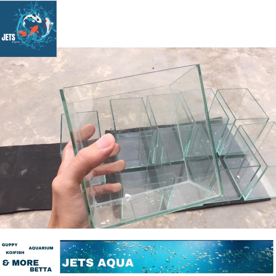 Bể cá mini - Bể cá Betta Gubby mini nhỏ gọn bảo hành bể vỡ khi vận chuyển.