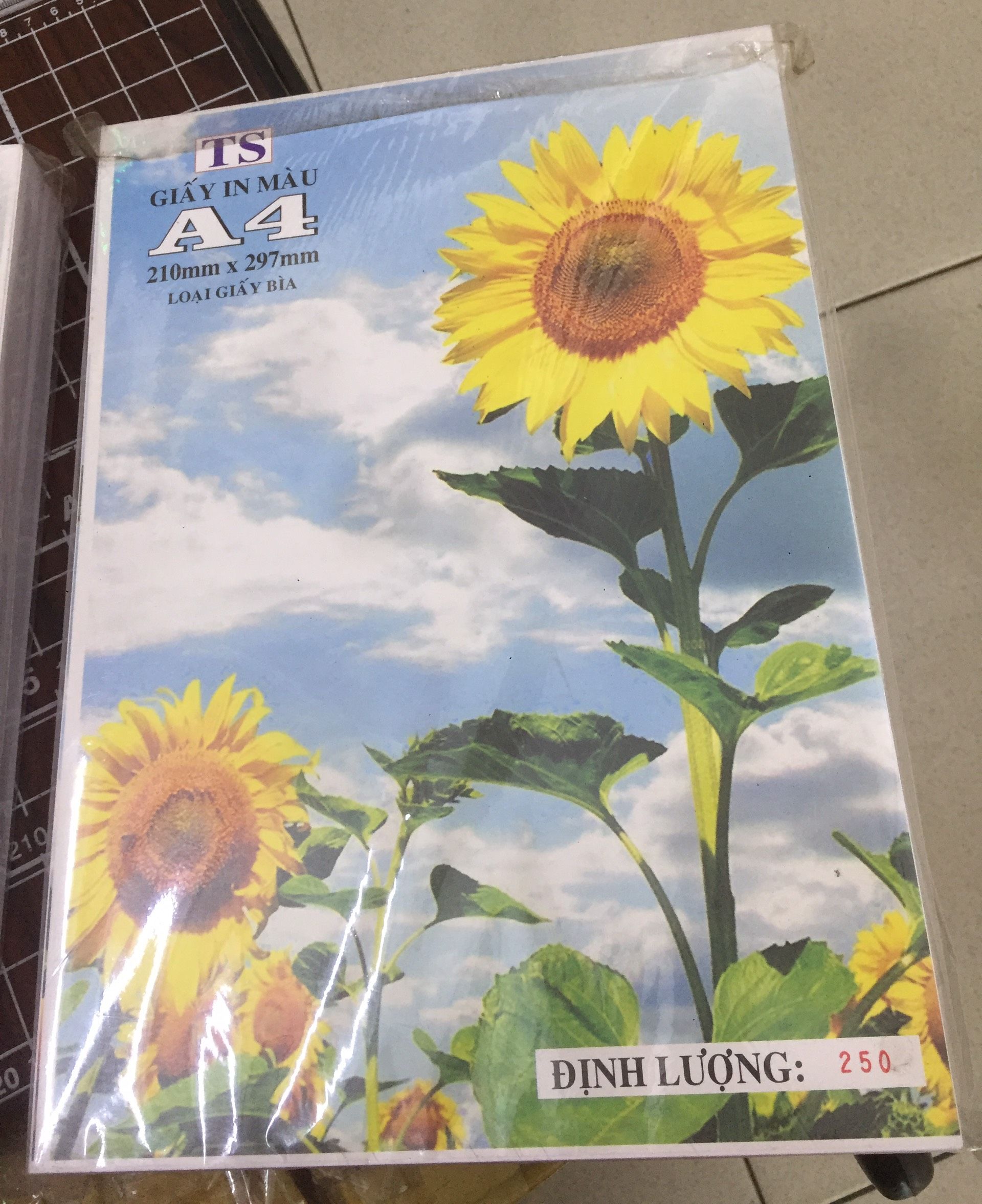 Giấy bìa màu trắng A4, bìa cứng loại 1, định lượng 230gsm / 250gsm / 300gsm - Xấp đủ 100 tờ