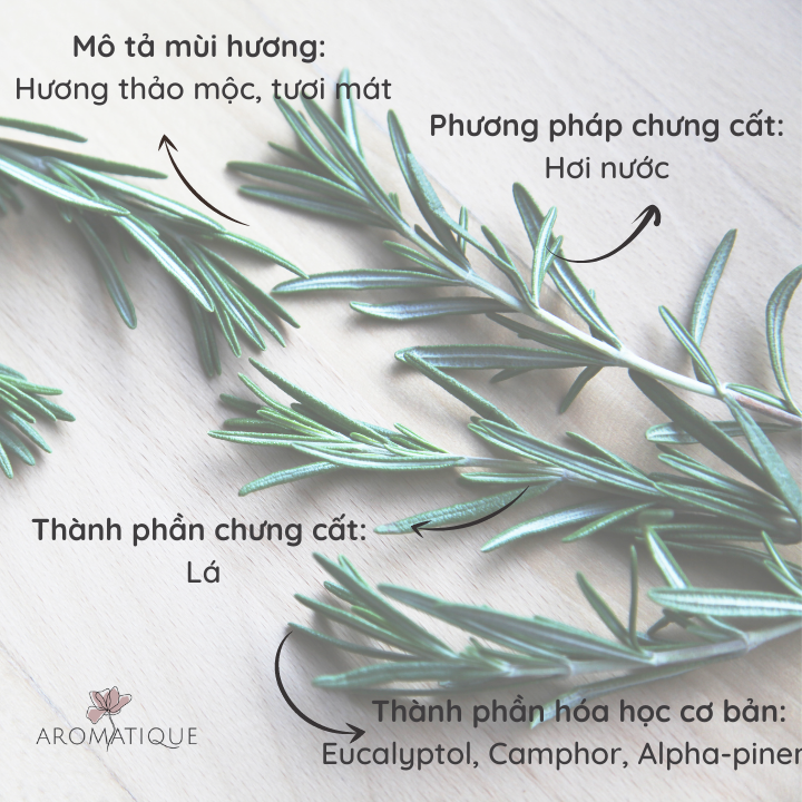 Tinh Dầu Xông Phòng Hương Thảo Rosemary Nguyên Chất Thiên Nhiên, Thơm Phòng, Massage thư giãn Chai 10ml