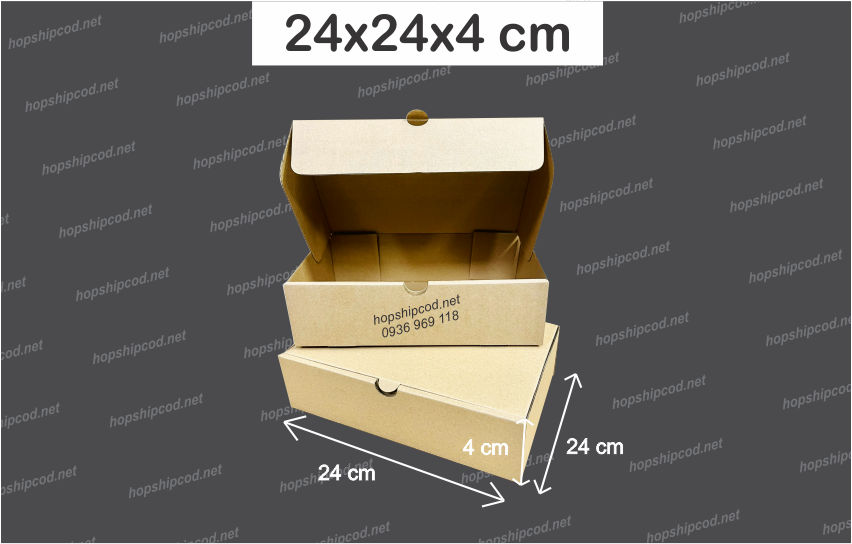[Combo 100 cái] 24x24x4 cm Hộp đựng pizza