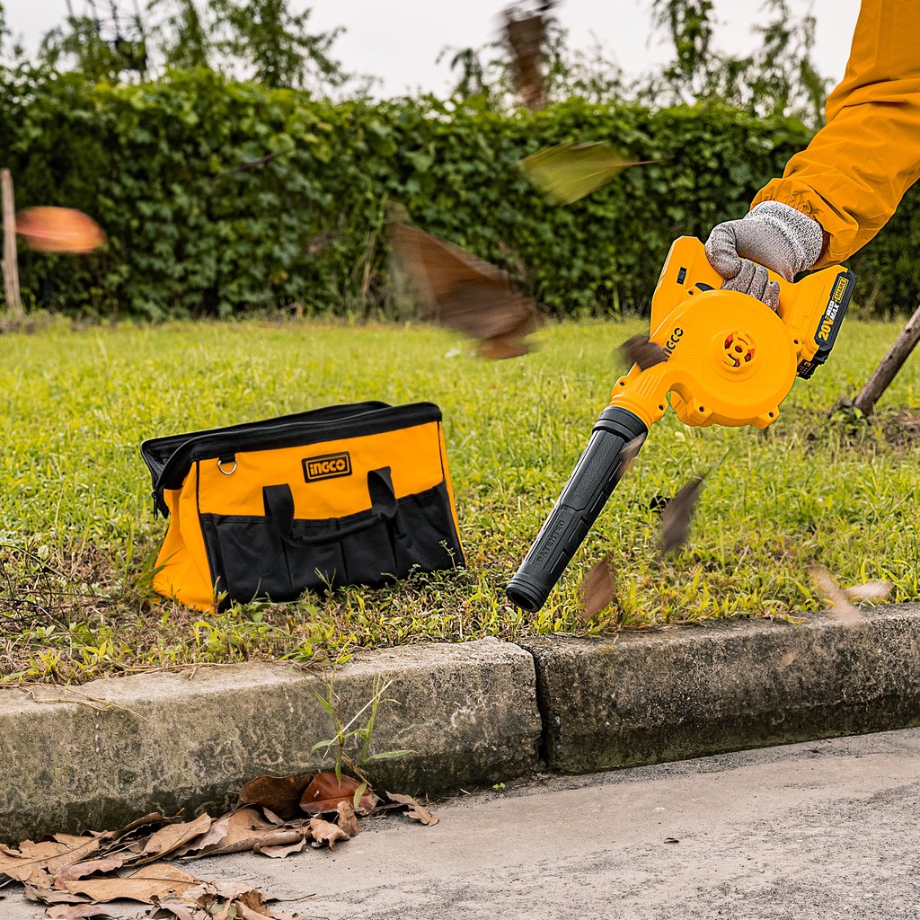 Máy thổi bụi dùng pin 20V CABLI20018